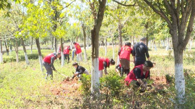 江華城市園林綠化服務(wù)中心：補植補種為城市“增綠添彩”:園林綠化
